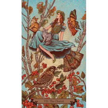 Hedgewitch Taro kortos Llewellyn